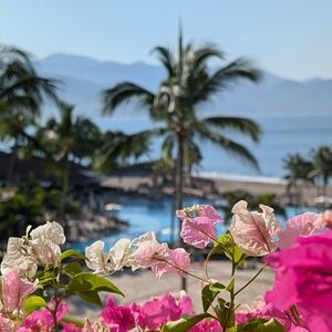 Meet your Posher, Rochel